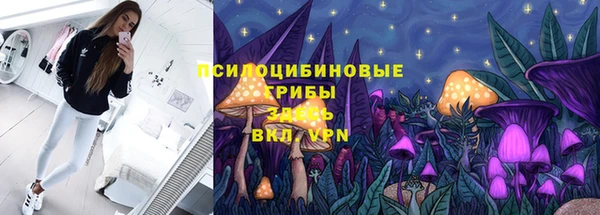 ГАЛЛЮЦИНОГЕННЫЕ ГРИБЫ Баксан