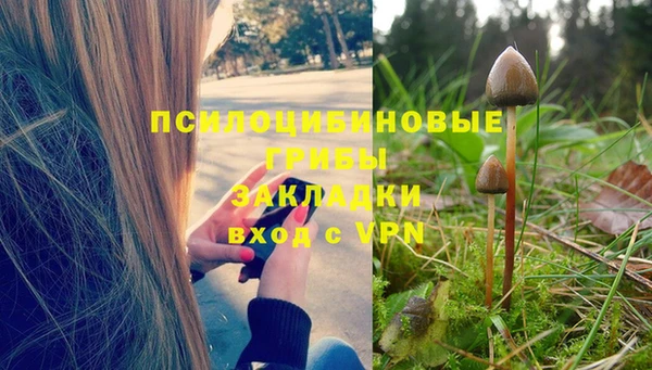 PSILOCYBIN Белокуриха